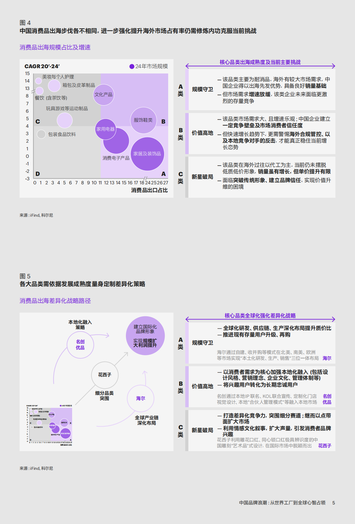 中国品牌浪潮：从世界工厂到全球心智占领 第5页