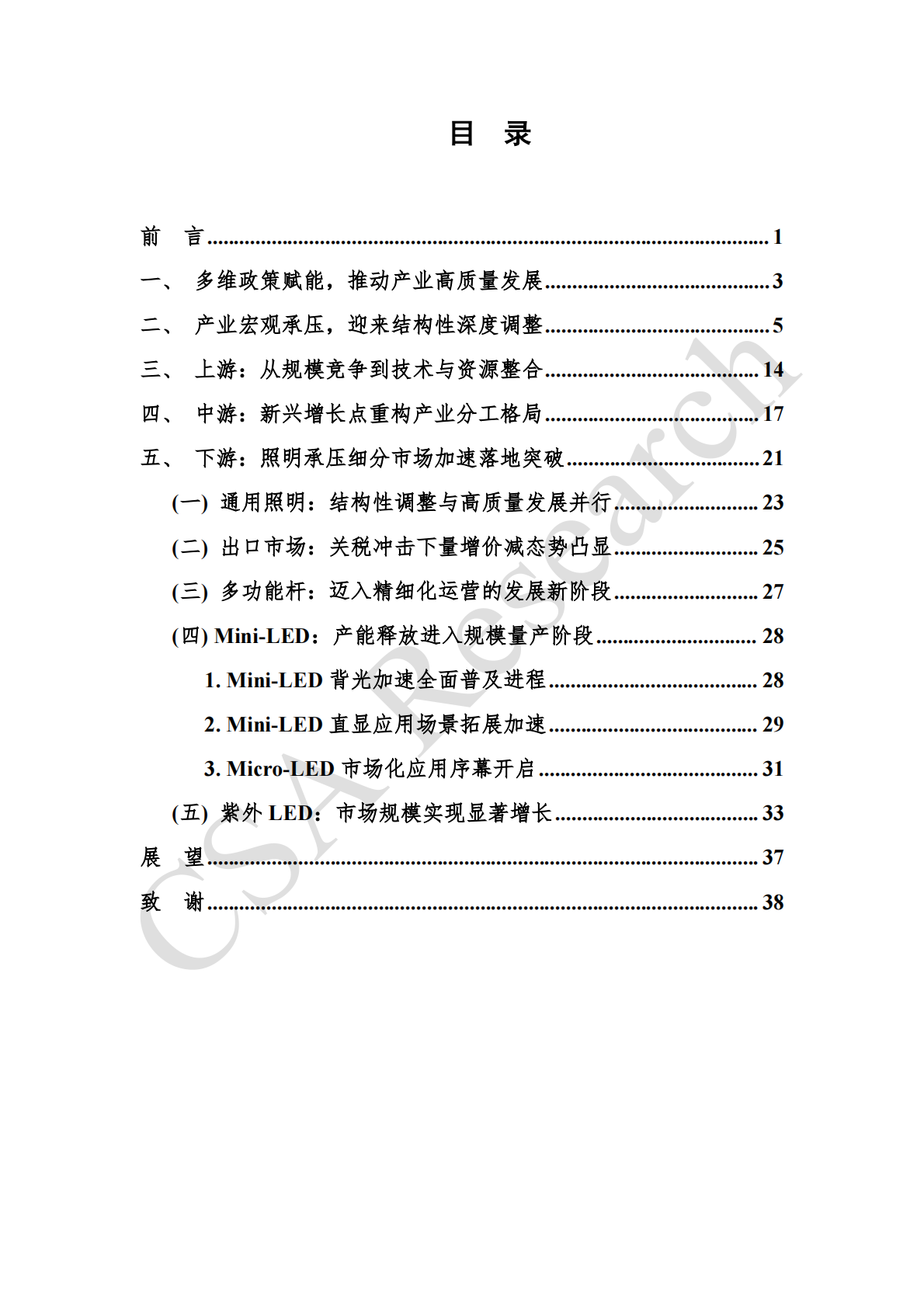 CSA Research：2025年半导体照明产业发展蓝皮书 第2页