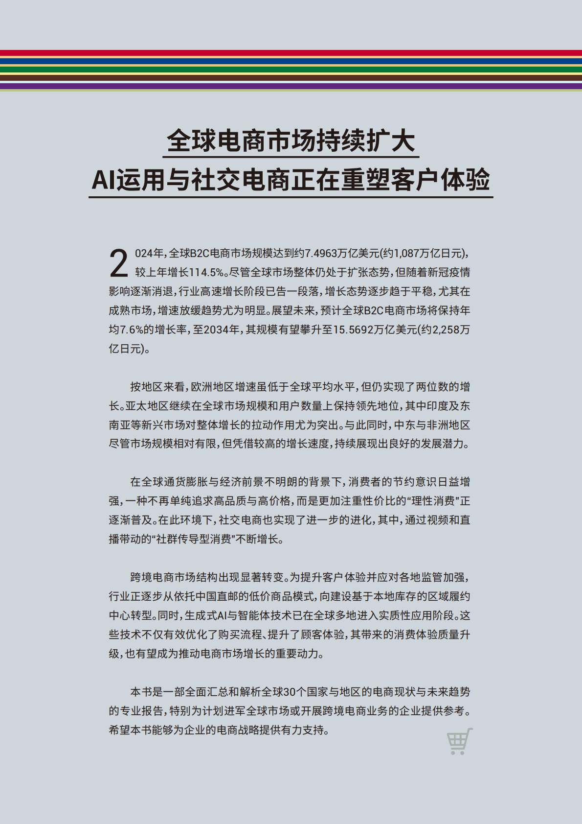 transcosmos：《2025全球电子商务手册》中文简版 第2页