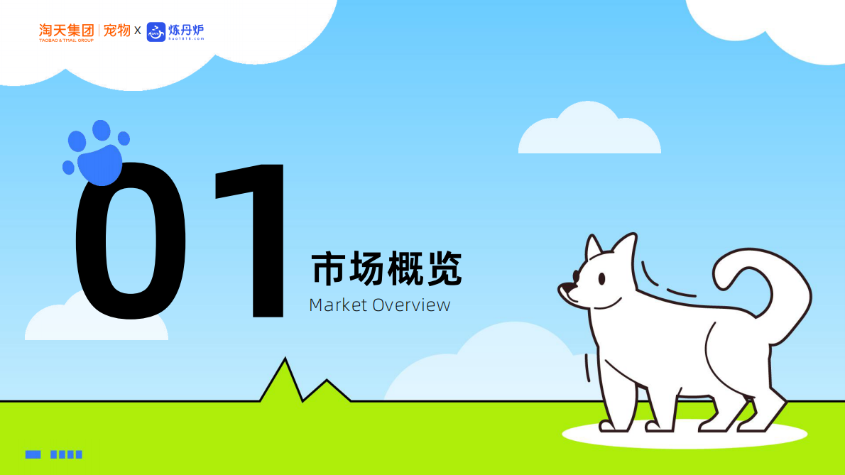 炼丹炉：宠物行业新品趋势报告 第3页