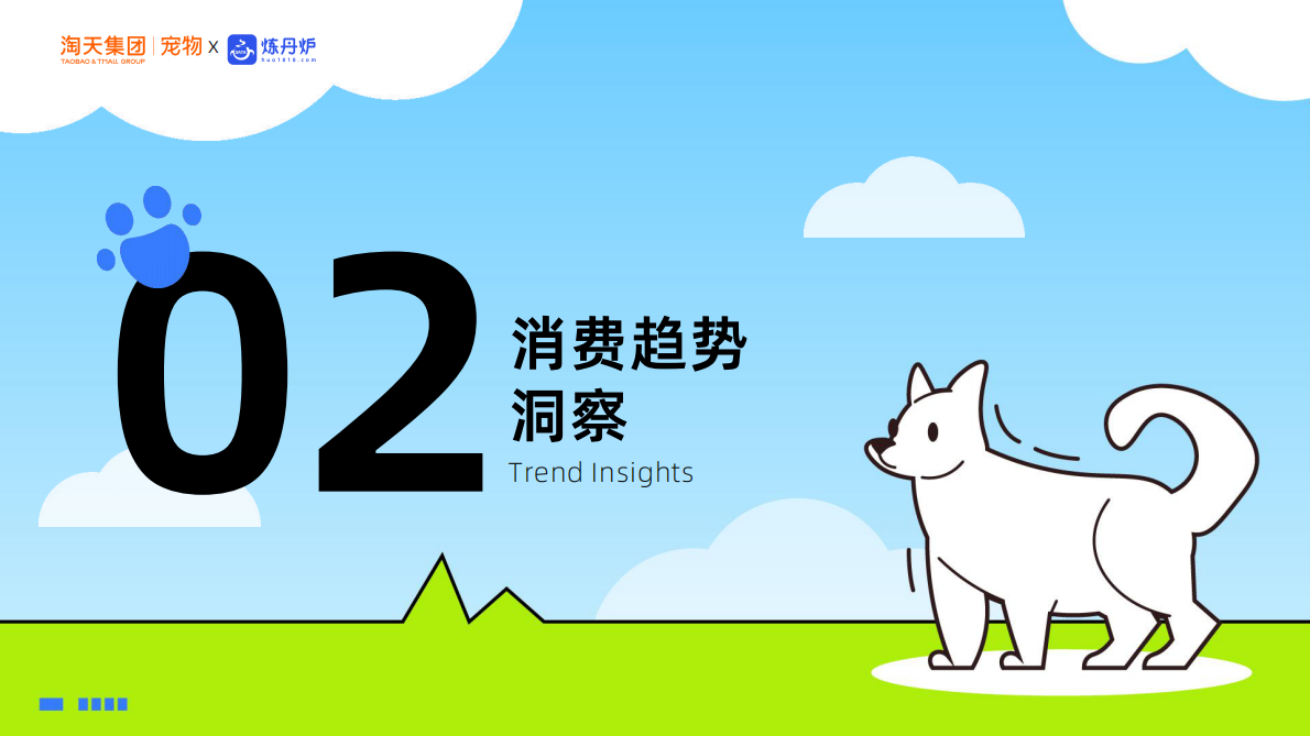 炼丹炉：宠物行业新品趋势报告 第7页