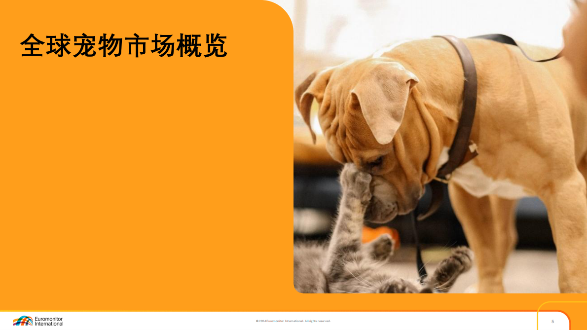 欧睿国际：2025年解码亚太宠物行业增长引擎报告 第6页