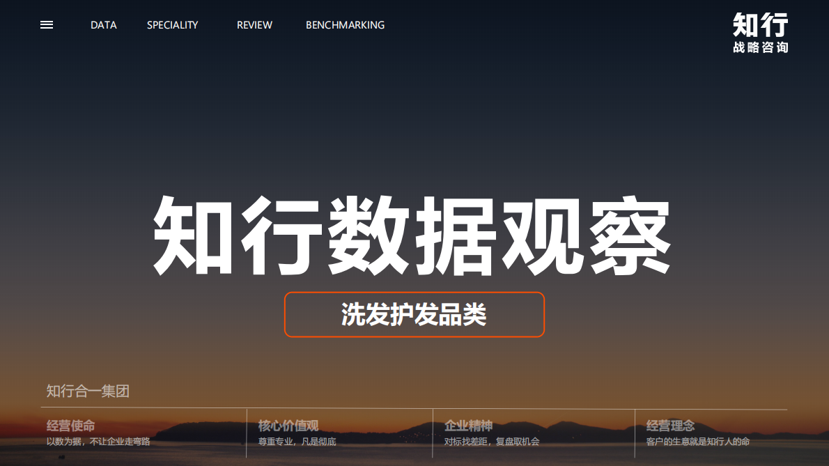 知行战略咨询：2025年洗发护发品类观察报告 第2页