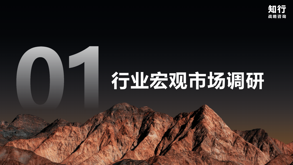知行战略咨询：2025年洗发护发品类观察报告 第3页