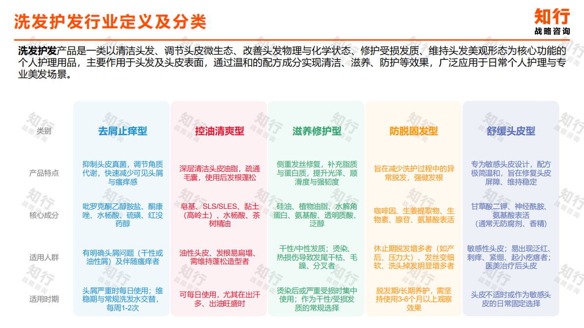 知行战略咨询：2025年洗发护发品类观察报告 第4页