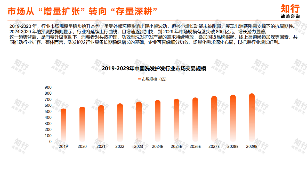 知行战略咨询：2025年洗发护发品类观察报告 第5页
