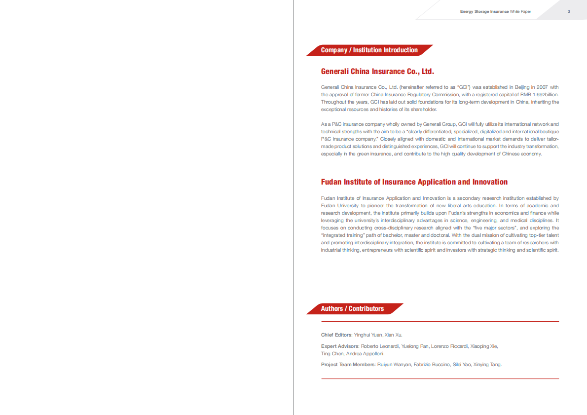 中意财险：储能保险白皮书（英文版） 第2页