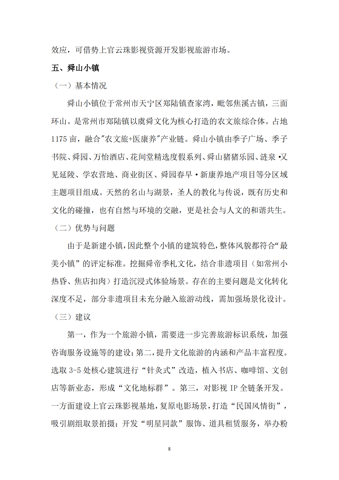 2025年最美小镇建设案例分析 第8页