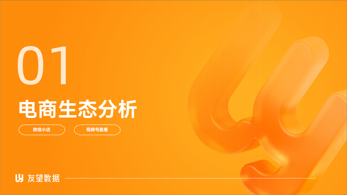 友望数据：2025年度视频号电商生态洞察报告 第4页