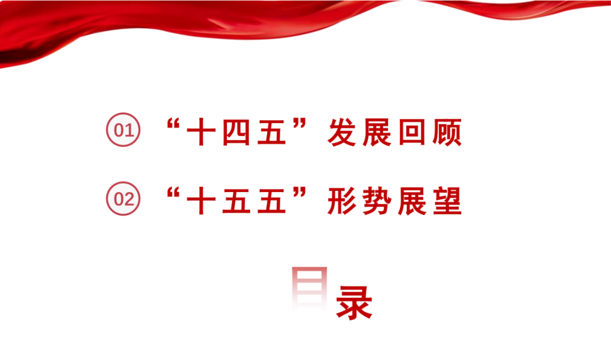 中国光伏行业协会：光伏行业&ldquo;十四五&rdquo;发展回顾与&ldquo;十五五&rdquo; 形势展望 第2页