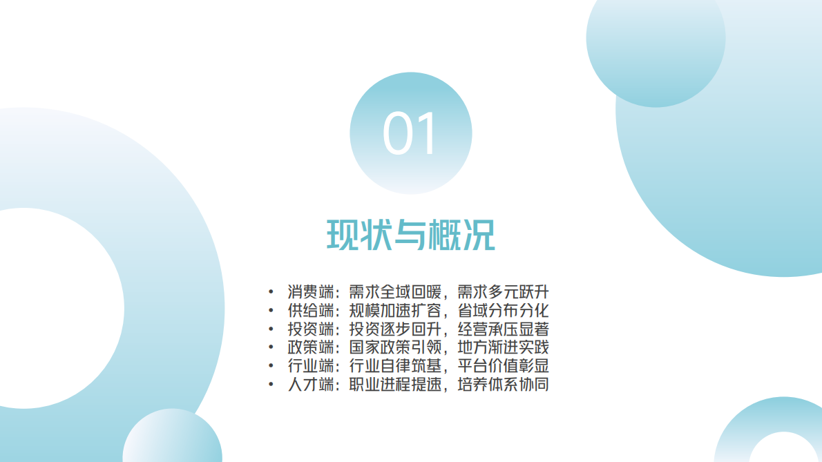中国旅游协会：2025全国民宿产业发展研究报告 第4页