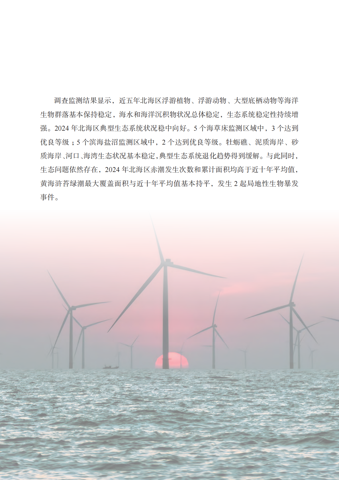自然资源部：2024年北海区海洋生态预警监测公报 第7页