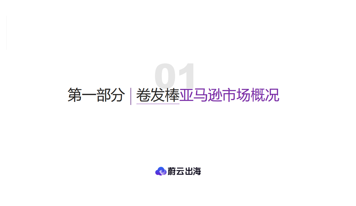 蔚云出海：2025年卷发棒美国市场研究报告：数据驱动的跨境电商品牌化转型市场指南 第5页