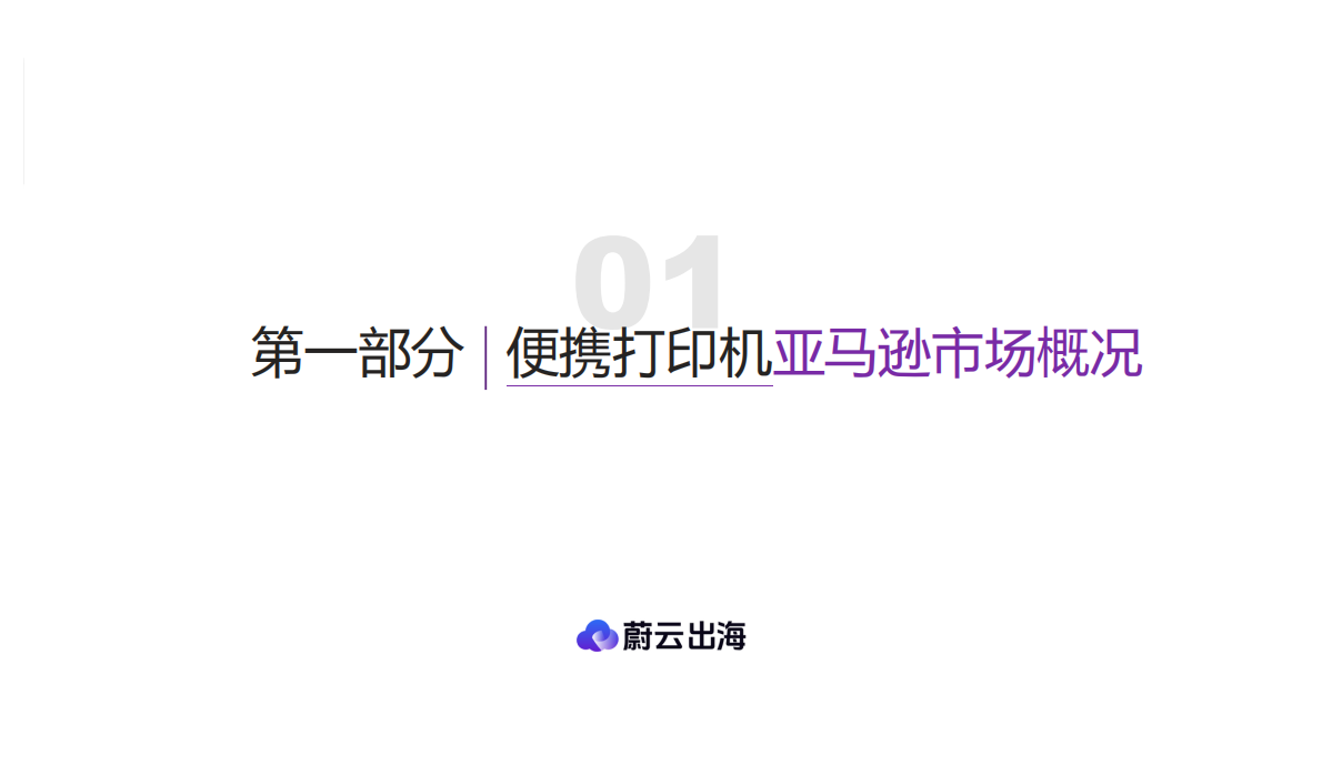 蔚云出海：便携打印机美国市场研究报告&mdash;&mdash;数据驱动的跨境电商品牌化转型市场指 第5页