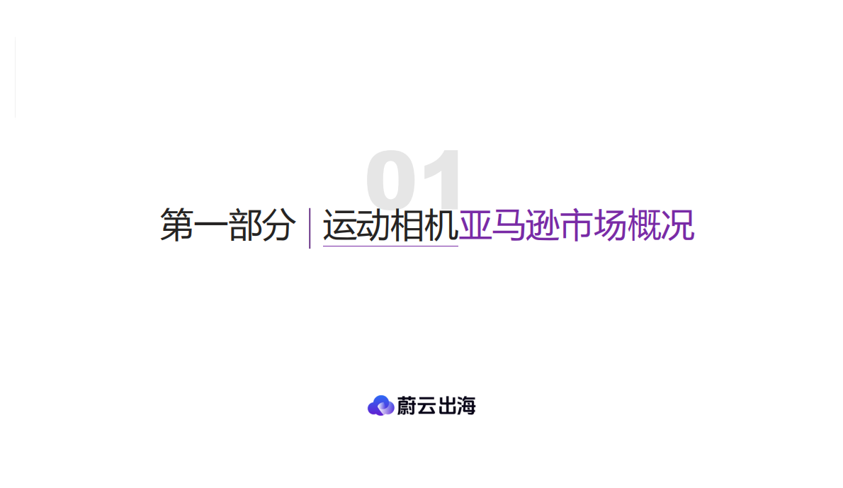 蔚云出海：运动相机美国市场研究报告&mdash;&mdash;数据驱动的跨境电商品牌化转型市场指南 第5页