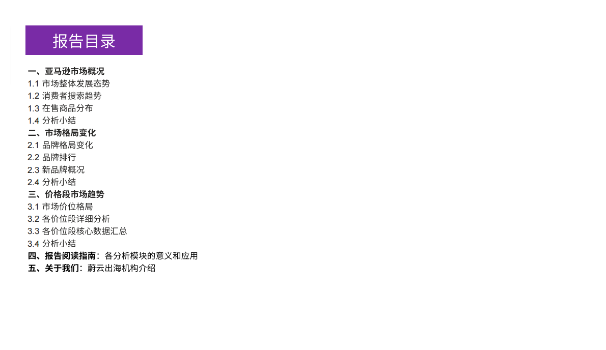 蔚云出海：运动相机美国市场研究报告&mdash;&mdash;数据驱动的跨境电商品牌化转型市场指南 第3页