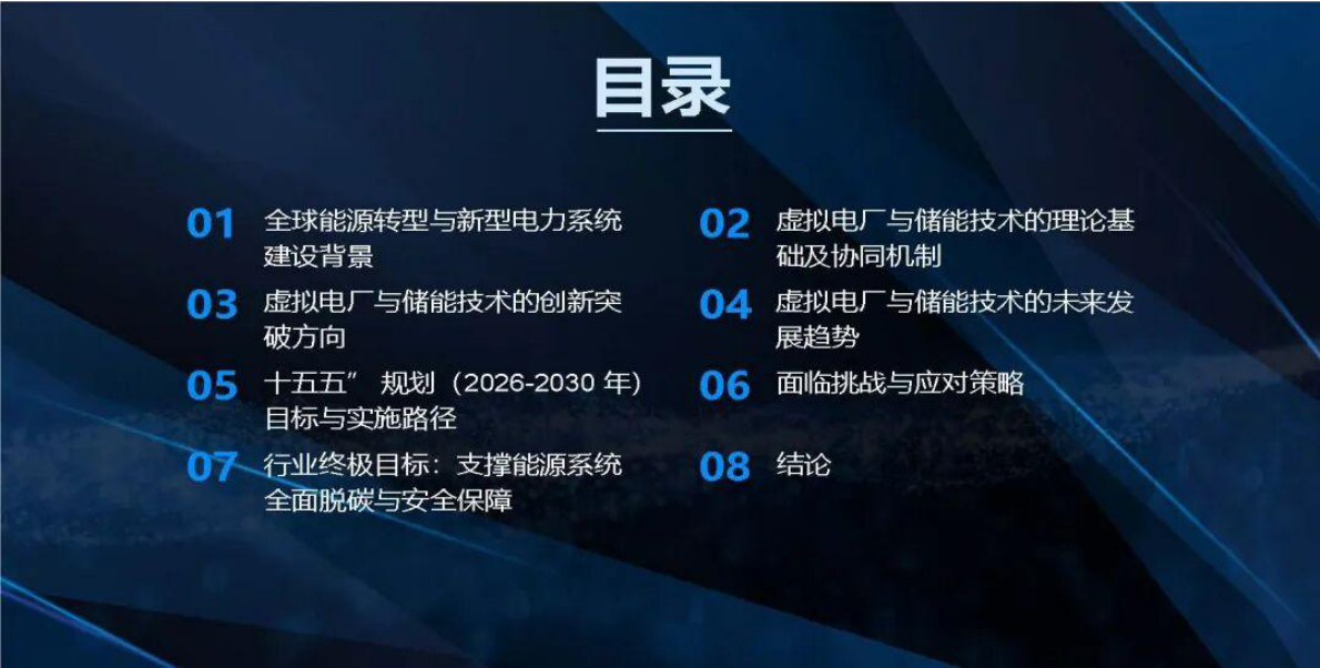 新型电力系统目标下虚拟电厂与储能技术的创新突破 第2页