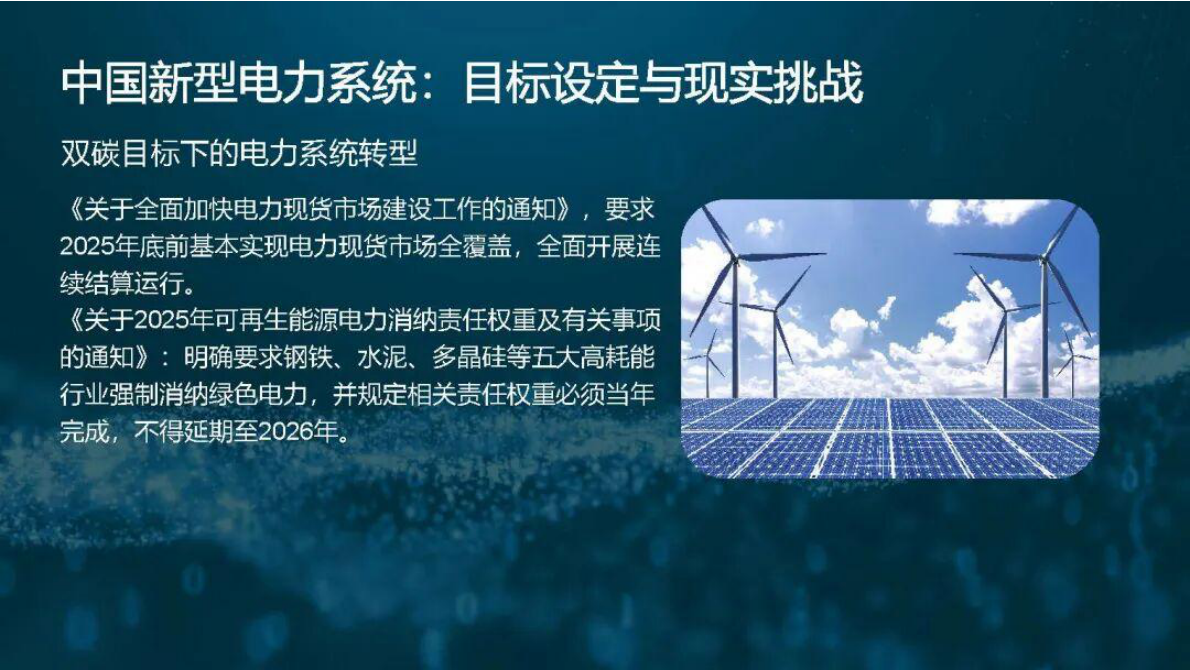 新型电力系统目标下虚拟电厂与储能技术的创新突破 第6页