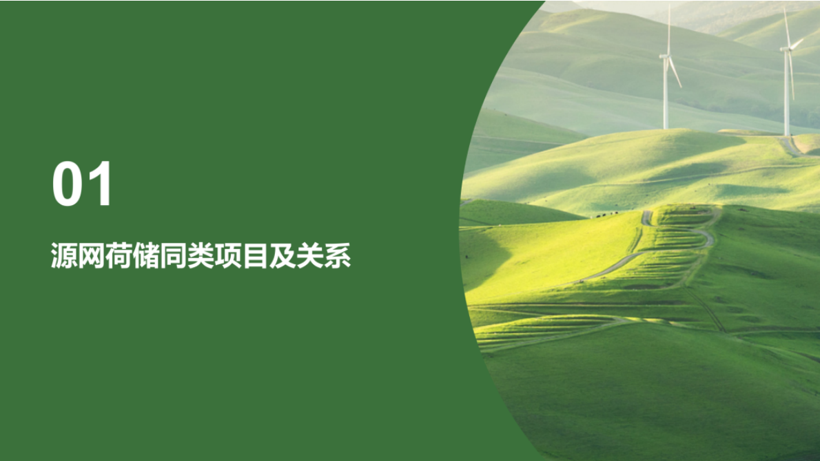 源网荷储同类项目投资路径与风险解析 第3页