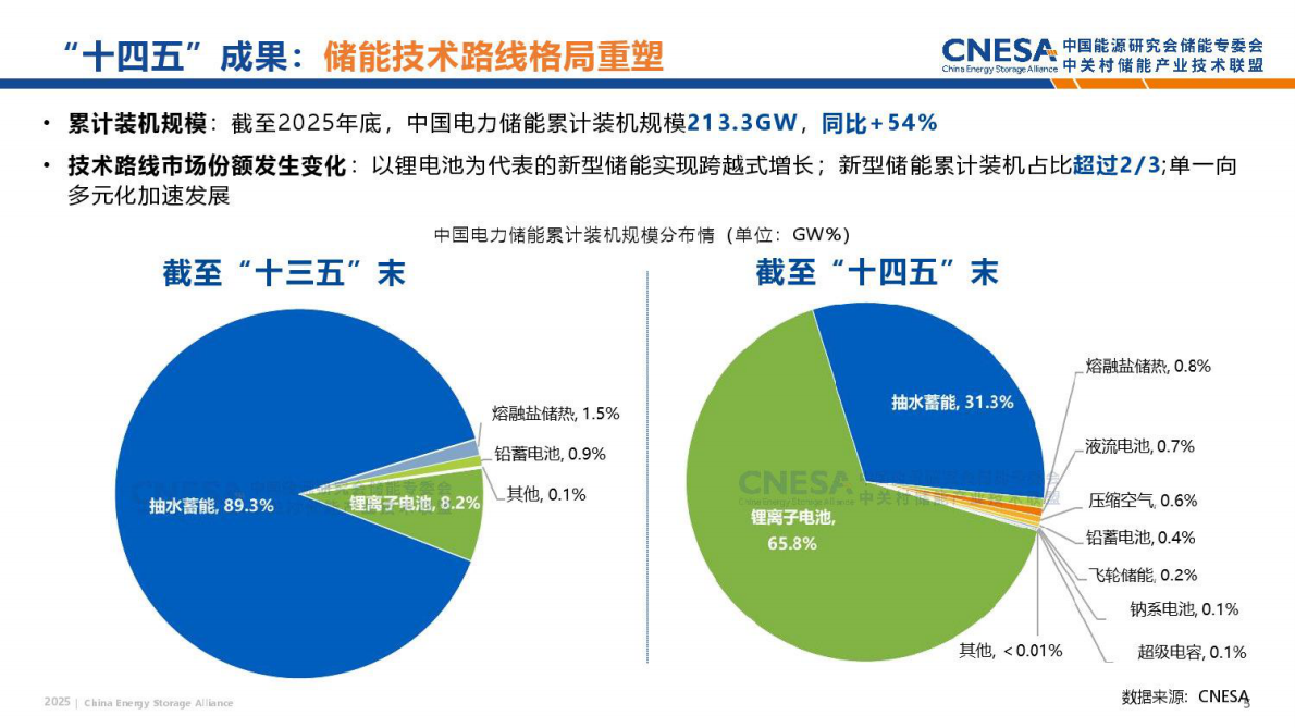 中关村储能产业技术联盟：2025储能政策全年盘点 第5页