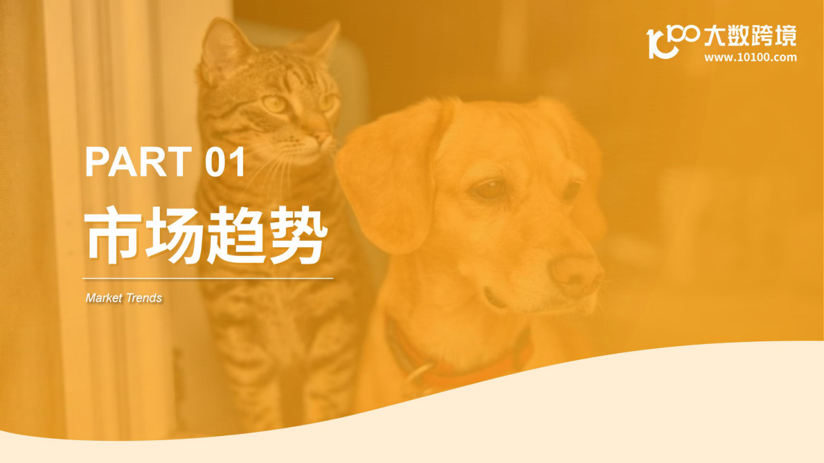 大数跨境：2026宠物电器品类出海分析报告 第4页