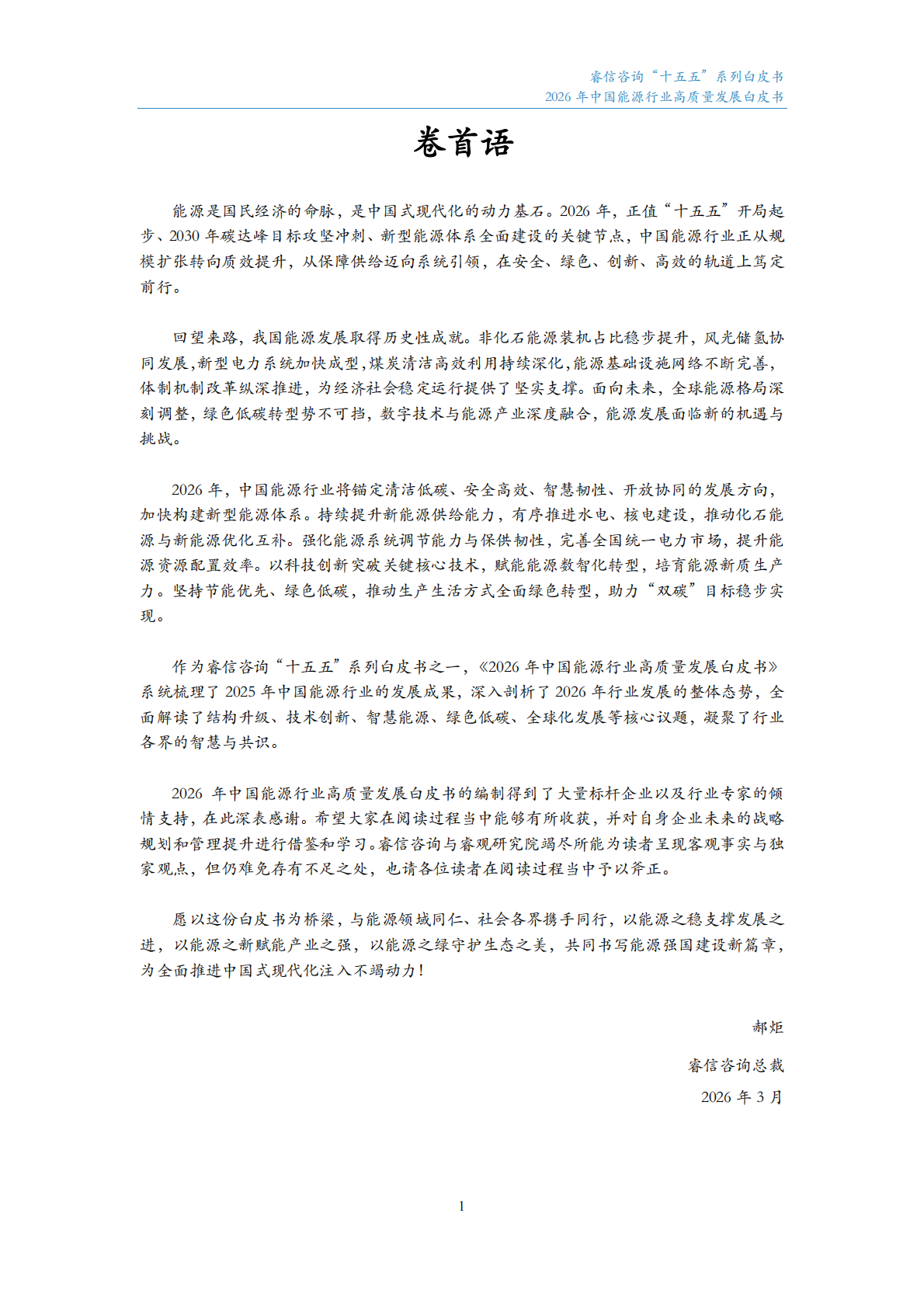 睿信咨询：2026年中国能源行业高质量发展白皮书 第2页