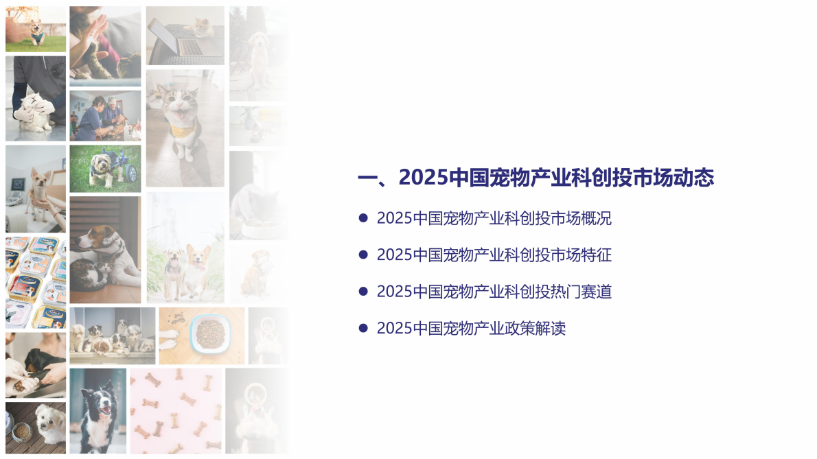 宠星云：2025中国宠物产业科技创新与投融资报告 第4页