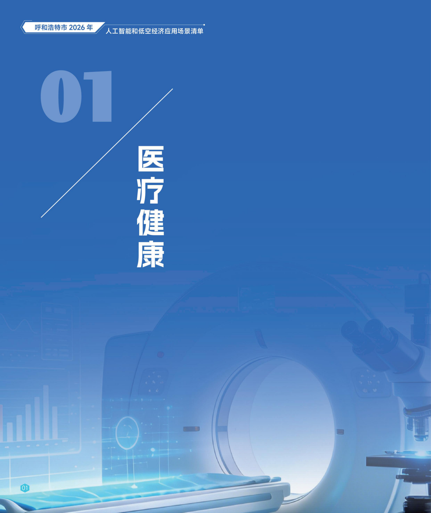 呼和浩特市发改委：2026呼和浩特市人工智能和低空经济应用场景清单 第6页