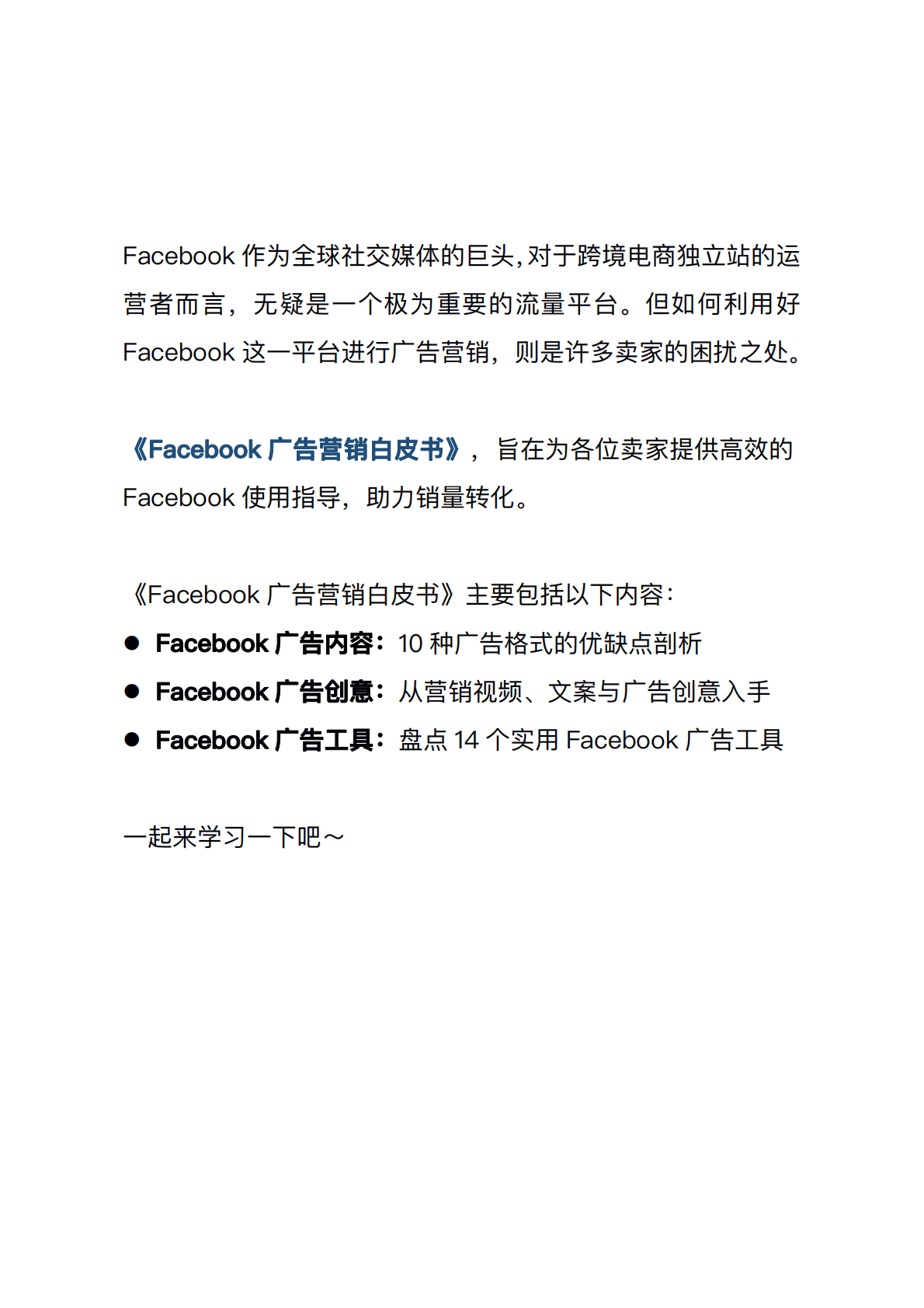 Facebook广告营销白皮书 第2页