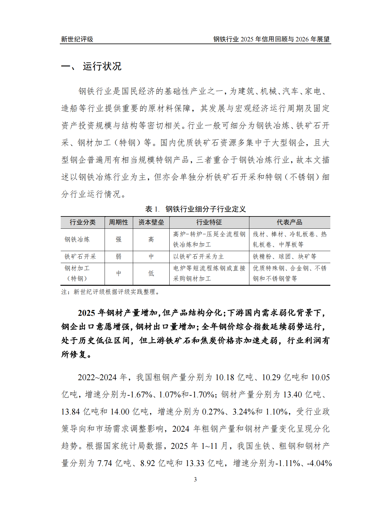 钢铁行业2025年信用回顾与2026年展望-新世纪评级 第3页