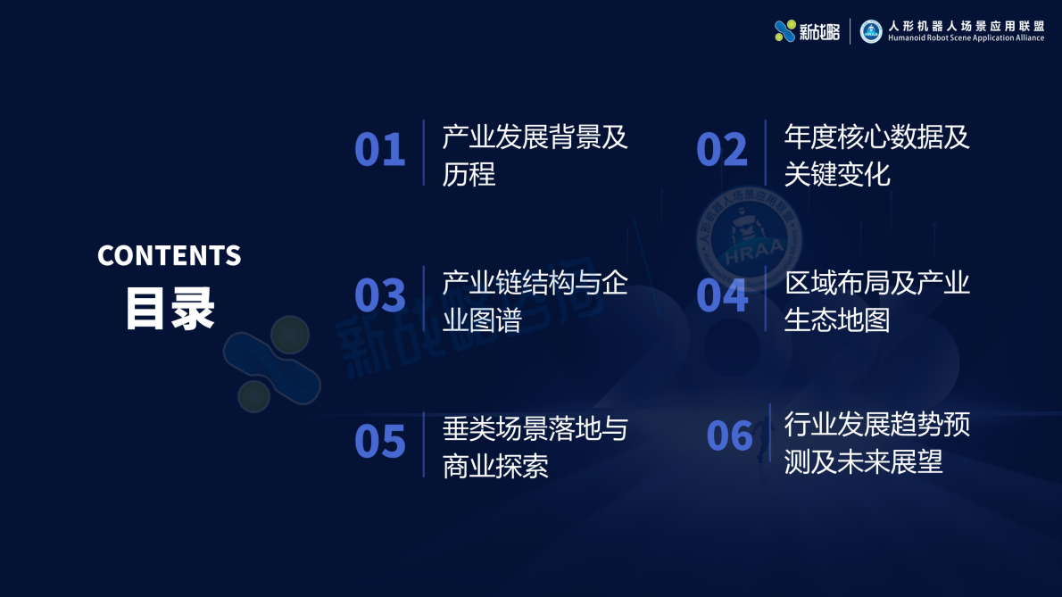 2025-2026年人形机器人产业发展研究报告（简版）-新战略咨询 第3页