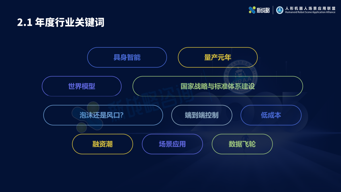 2025-2026年人形机器人产业发展研究报告（简版）-新战略咨询 第5页