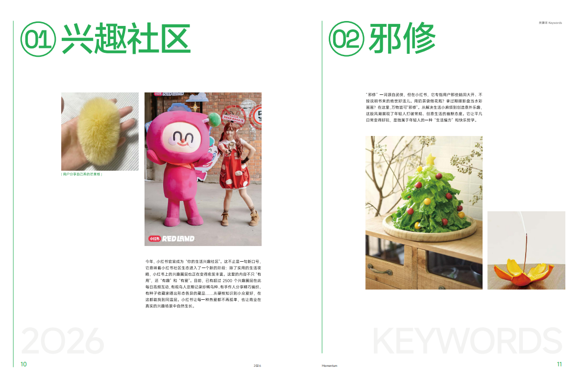 2026小红书营销IP特刊《同频》-小红书 第7页
