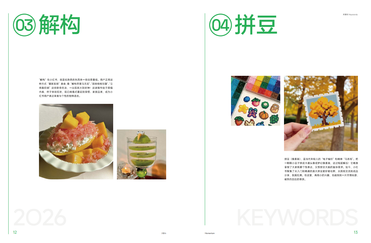 2026小红书营销IP特刊《同频》-小红书 第8页