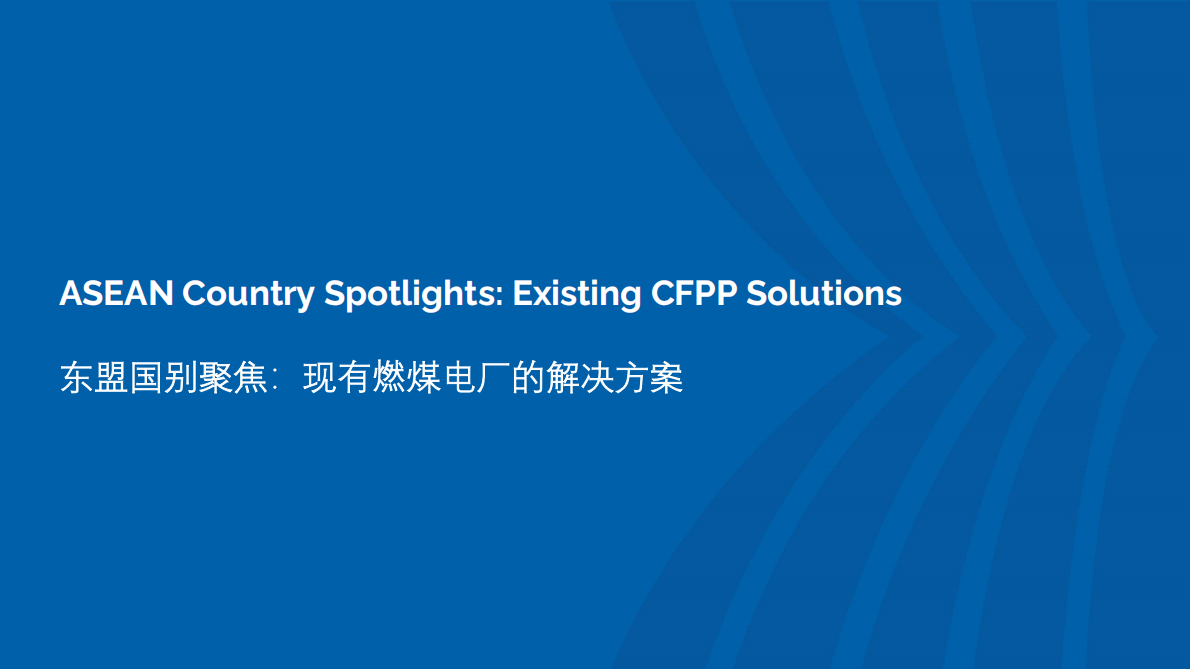 2025东南亚国家煤炭转型挑战与经验报告-东盟能源 第8页