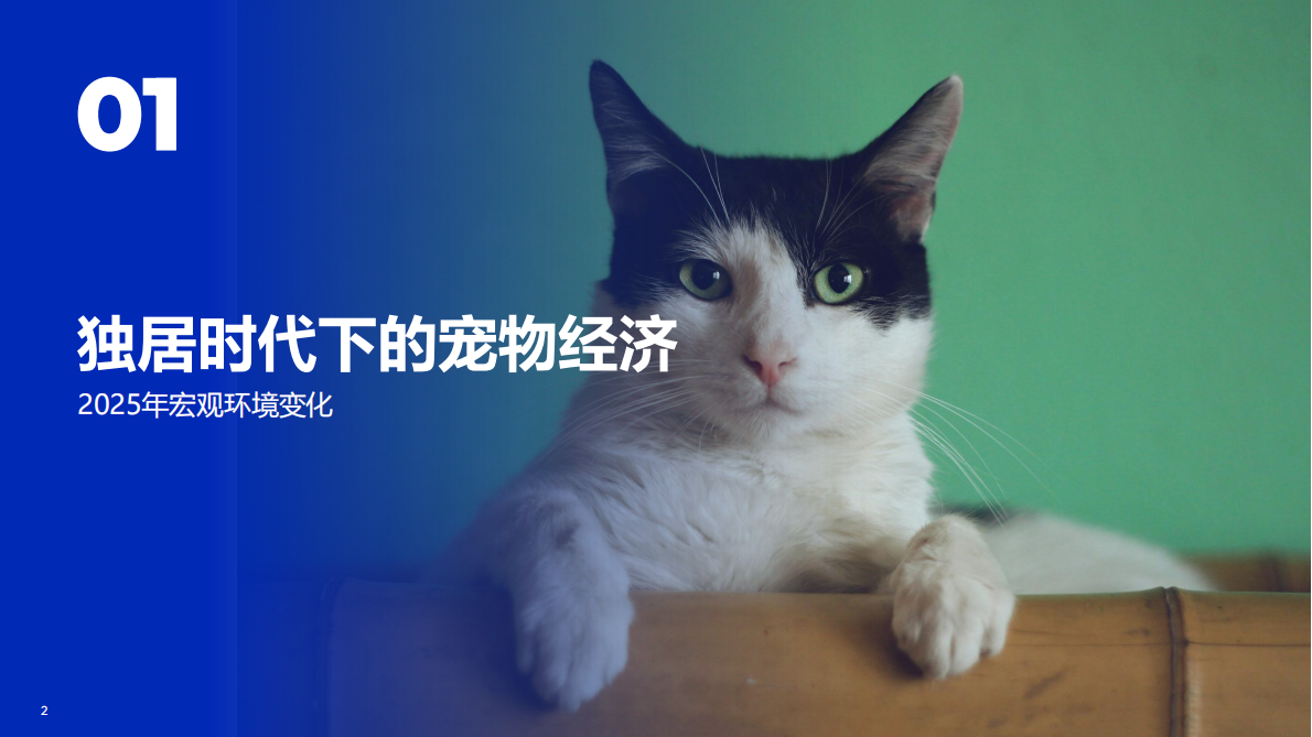 2026宠物行业趋势报告-从 &ldquo;养宠&rdquo; 到 &ldquo;家人&rdquo;：宠物行业迎来新时代、新需求-Flywheel飞未 第2页