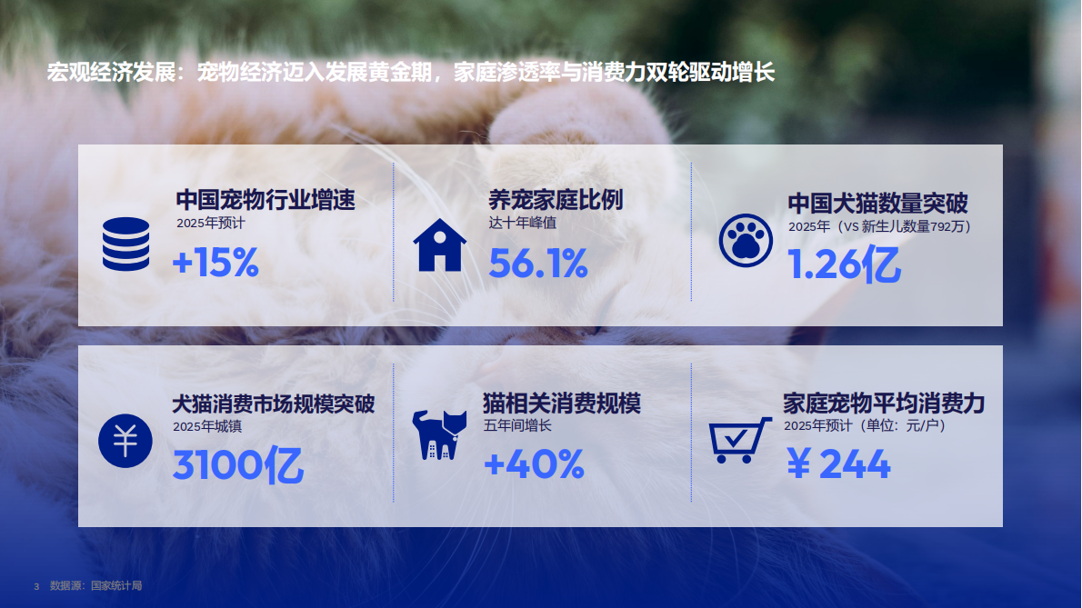 2026宠物行业趋势报告-从 &ldquo;养宠&rdquo; 到 &ldquo;家人&rdquo;：宠物行业迎来新时代、新需求-Flywheel飞未 第3页