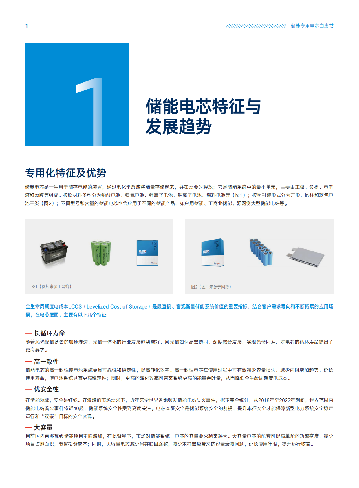 储能专用电芯白皮书-天合储能 第2页
