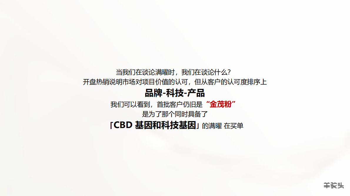 房地产艺术奢宅下半年度推广提报 第5页