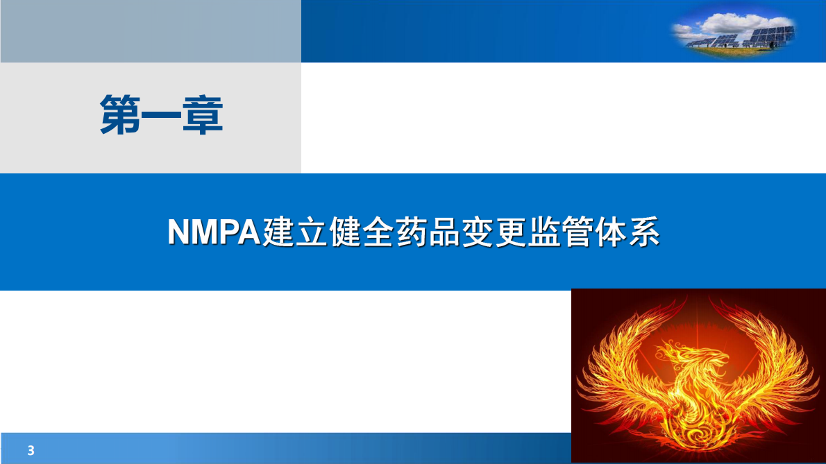 化学口服固体制剂关键变更的合规管控 第3页