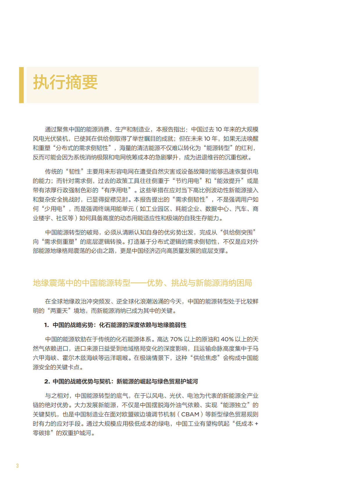 2026年从供给焦虑到需求韧性&mdash;大变局下的中国能源安全与战略重构白皮书-北京大学能源学院 第8页