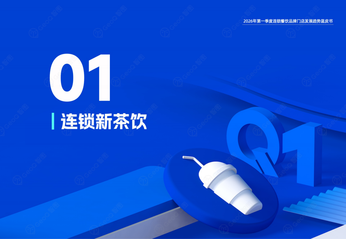2026年第一季度连锁餐饮品牌门店发展趋势蓝皮书-GeoQ智图 第4页