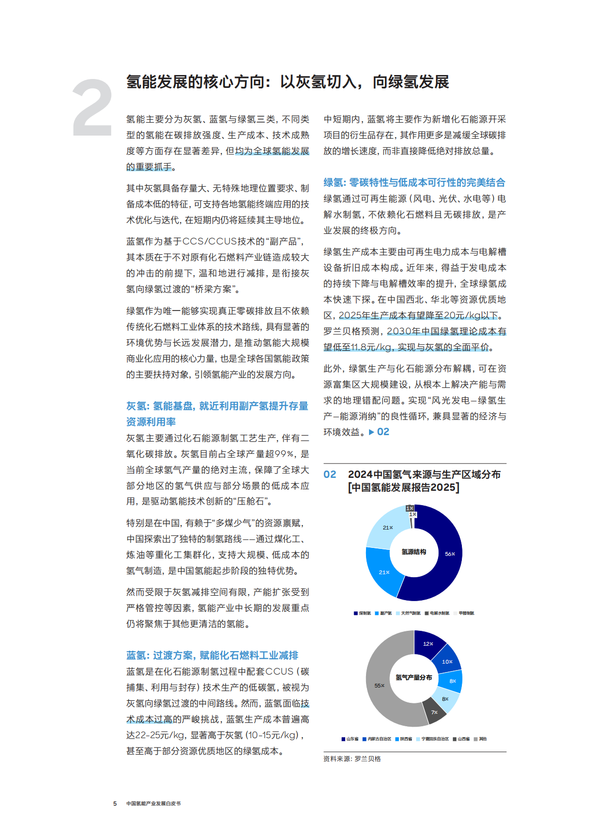 2026年中国氢能产业发展白皮书-罗兰贝格 第5页