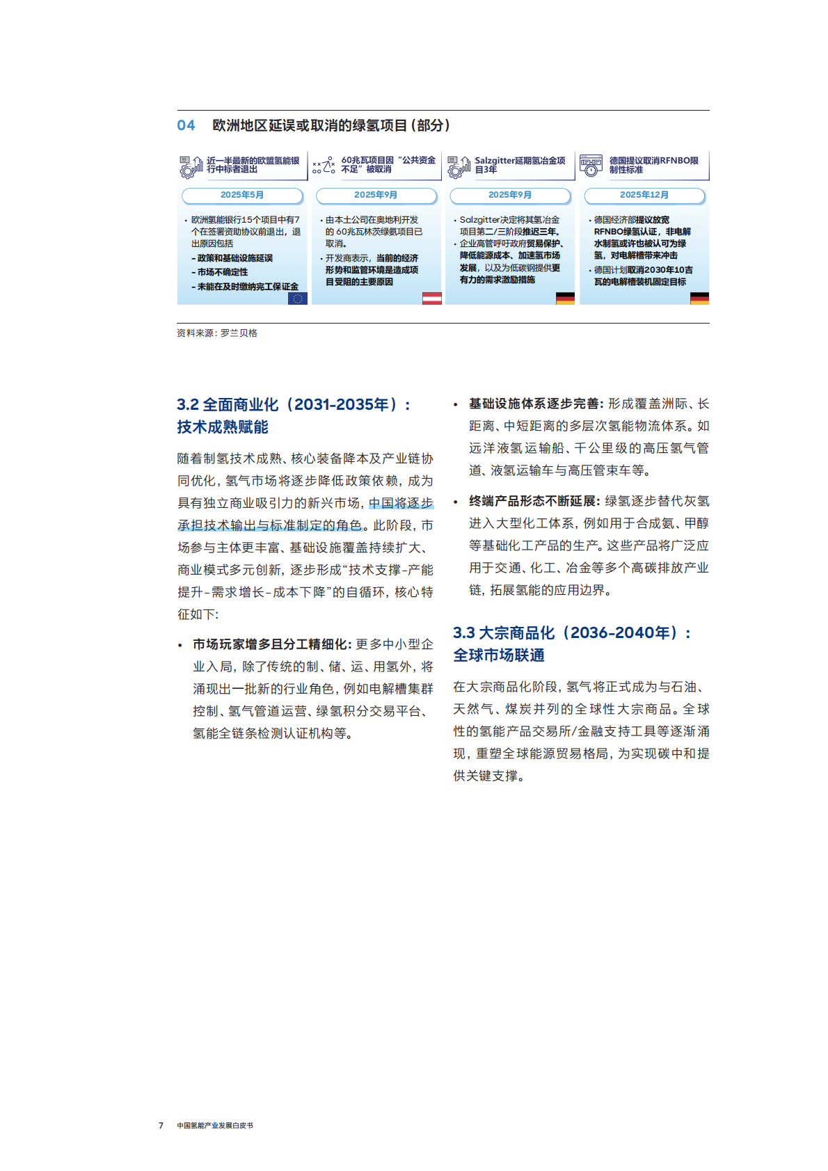 2026年中国氢能产业发展白皮书-罗兰贝格 第7页
