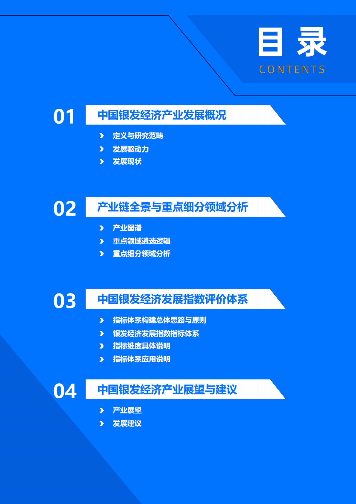 2026年中国银发经济产业研究报告-36氪 第3页