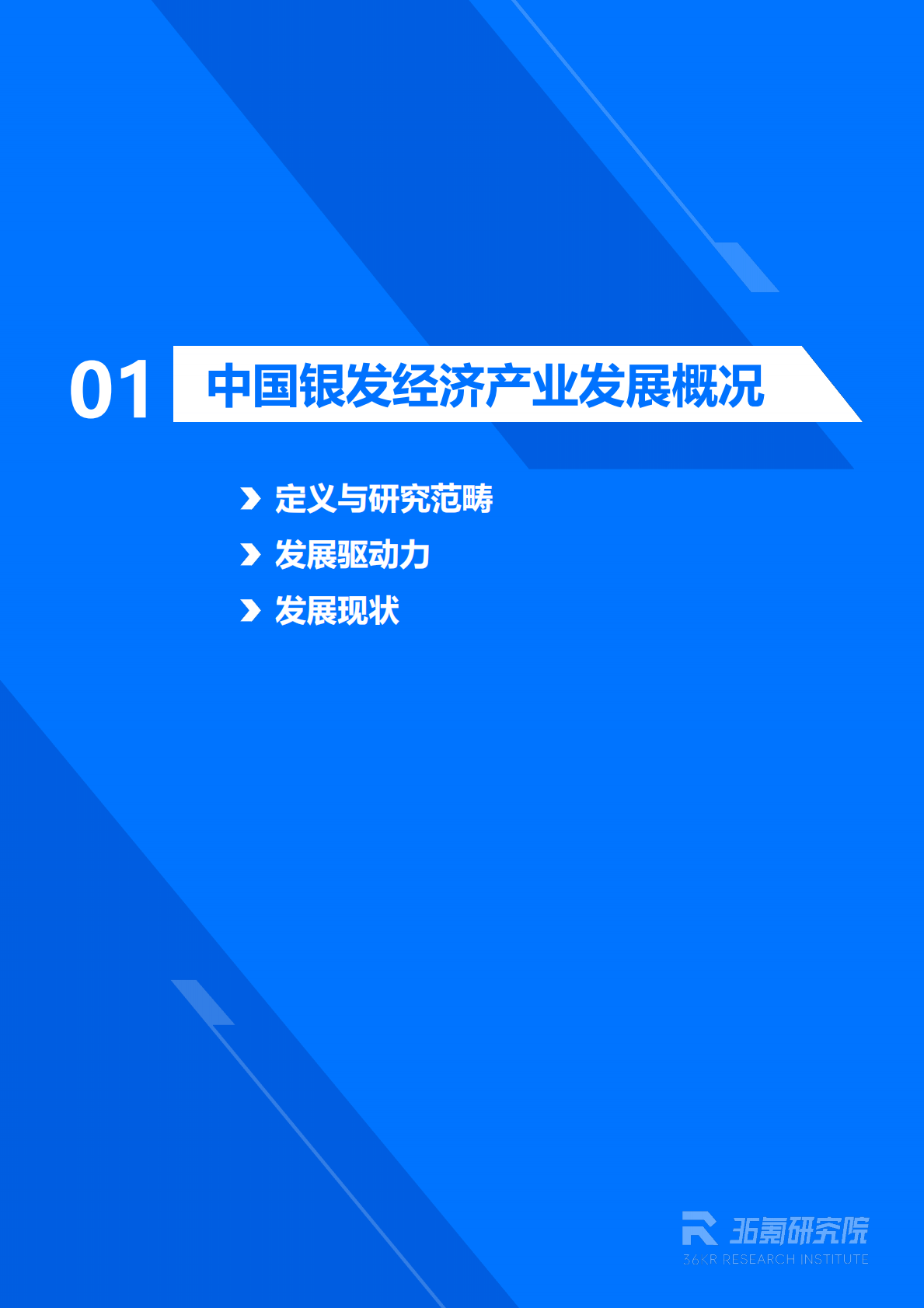 2026年中国银发经济产业研究报告-36氪 第4页