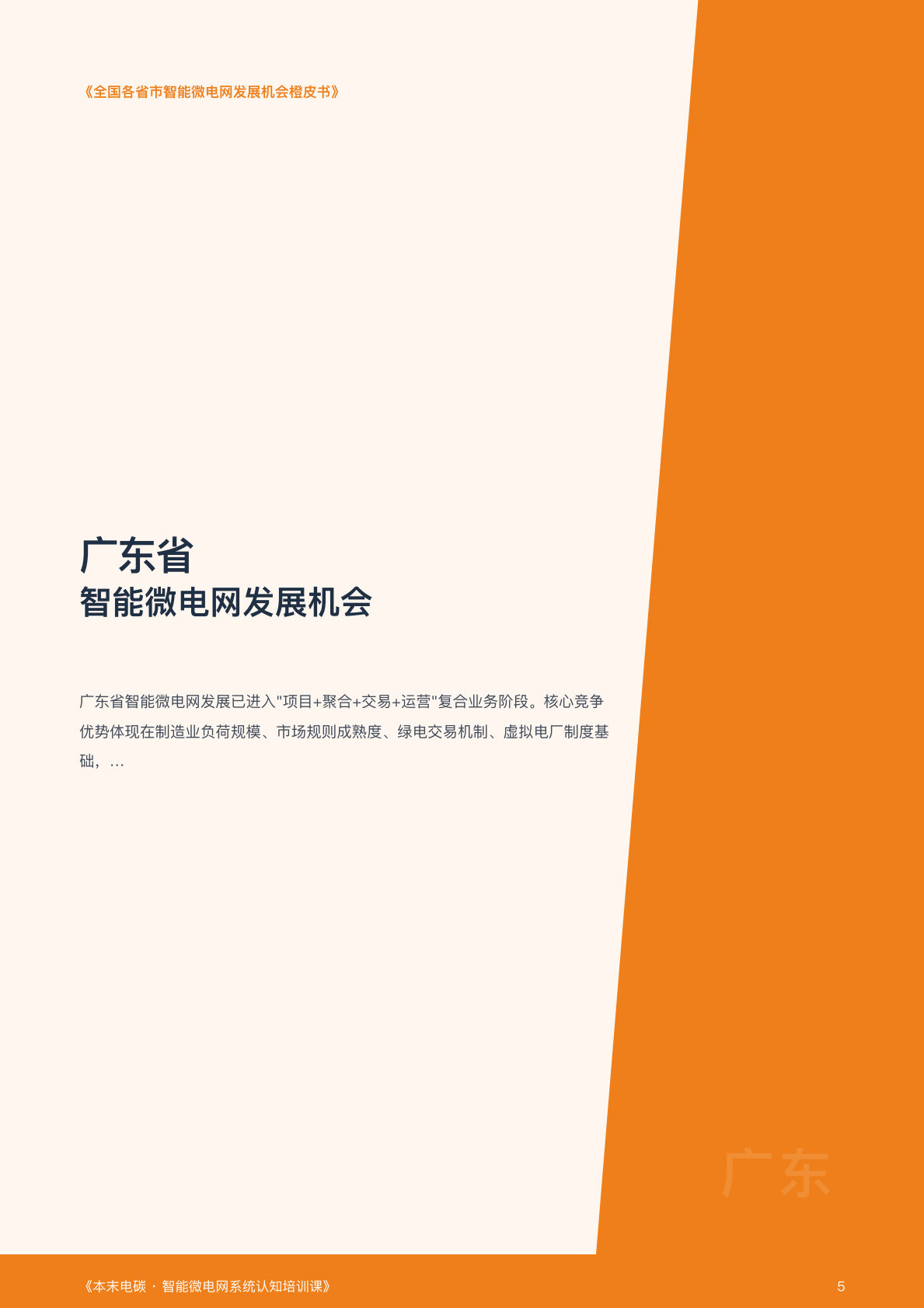 2026全国各省市智能微电网发展机会橙皮书-本末电碳 第5页