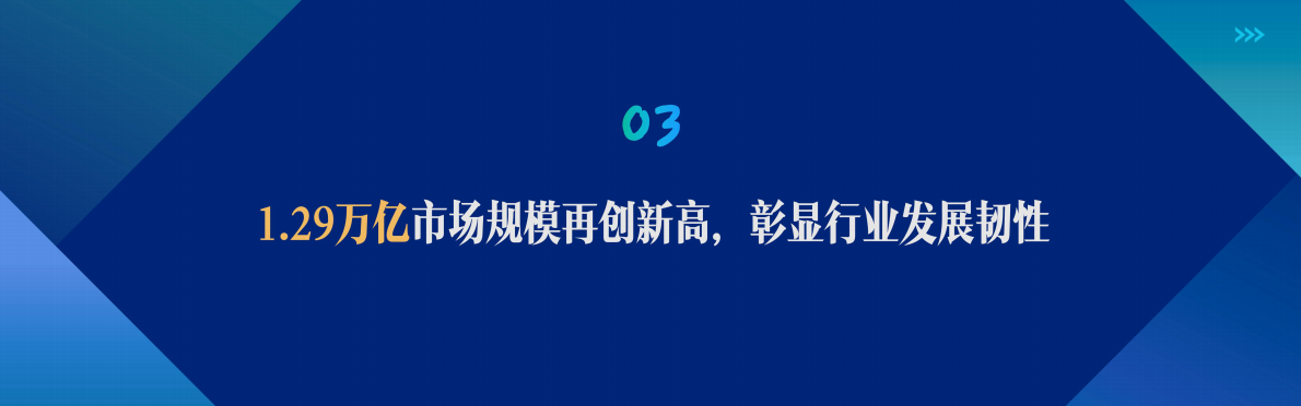 中国网络视听发展研究报告（2026） -中国网络视听协会 第7页