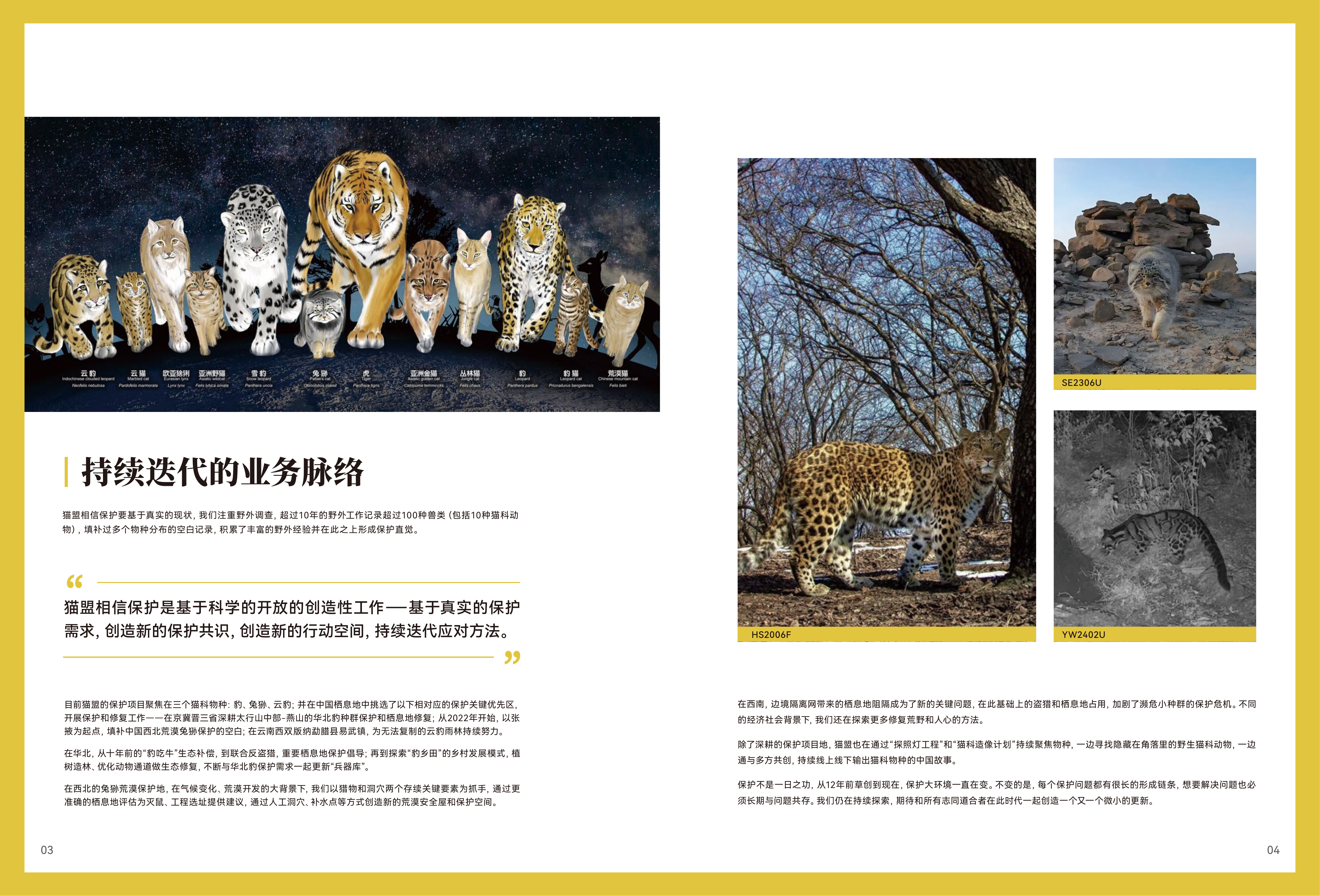 2022～2025猫盟年度报告-猫盟 第5页