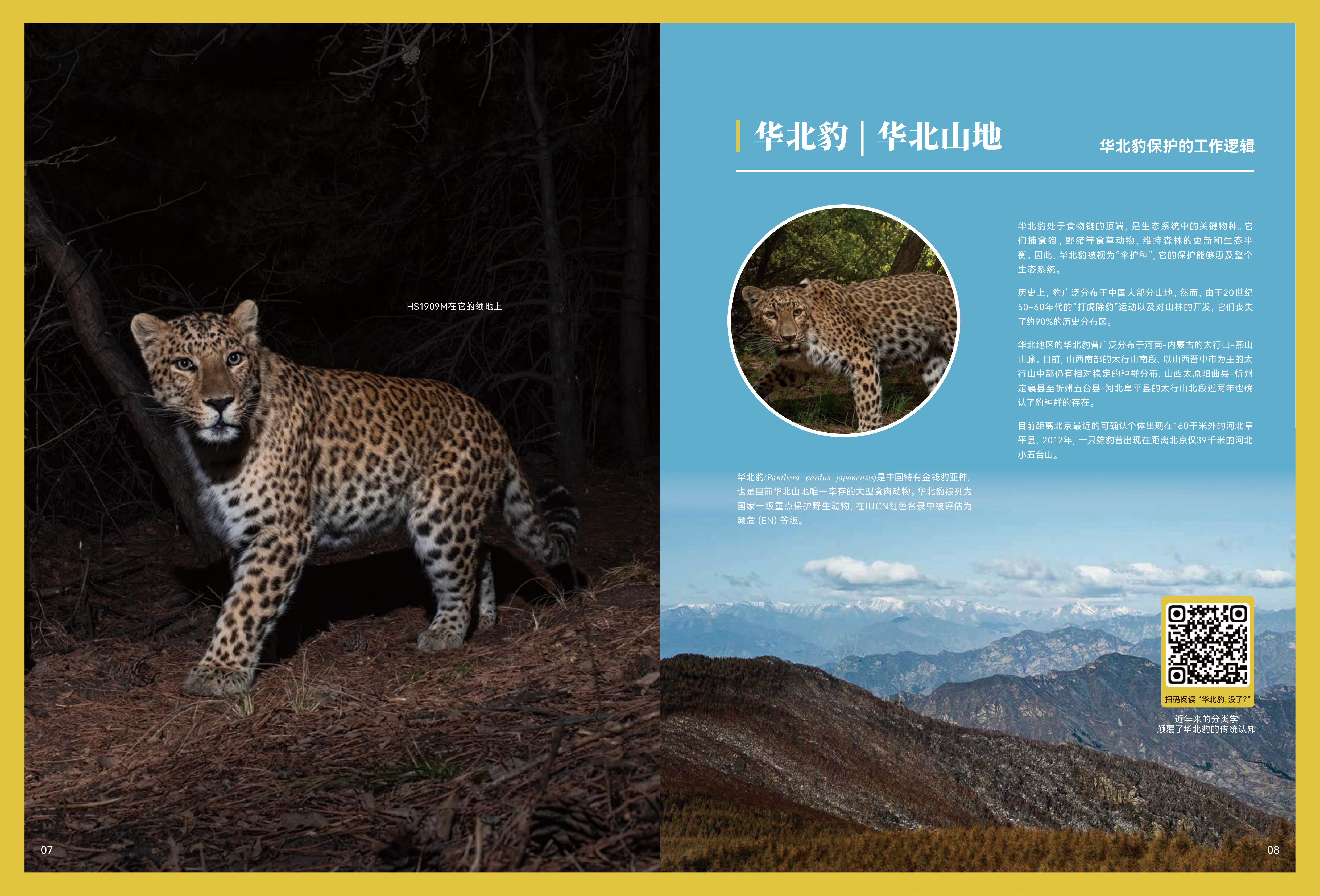 2022～2025猫盟年度报告-猫盟 第7页